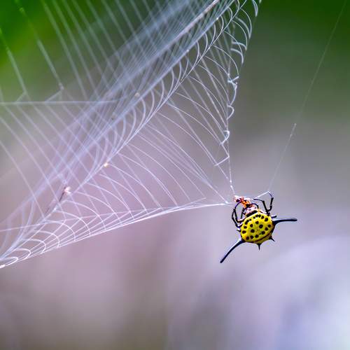 Фотография #11845036