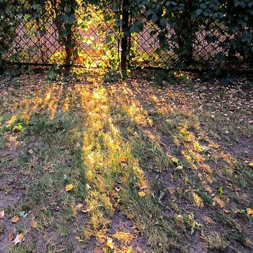 Photo #11845077