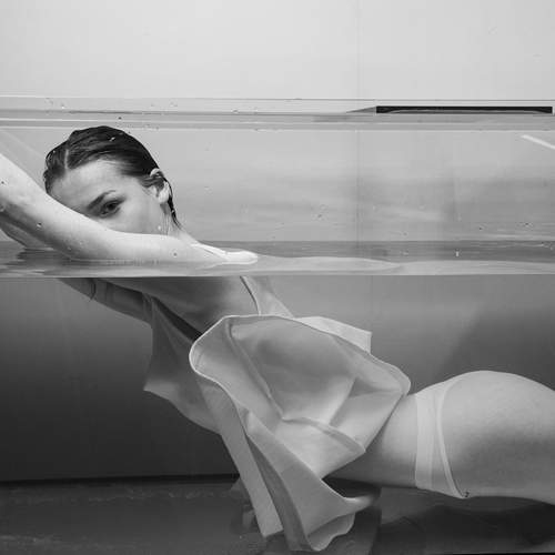 Photo #11845081
