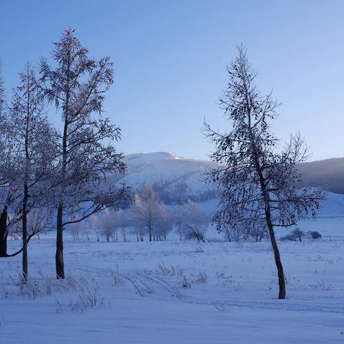 Photo #11845271