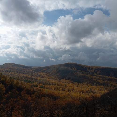 Photo #11845342