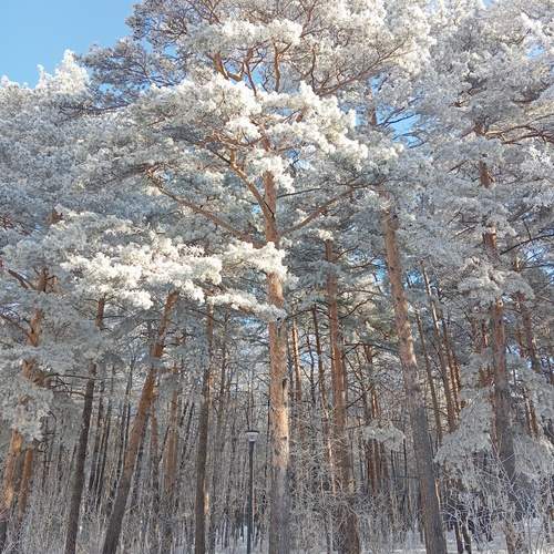 Photo #11845346