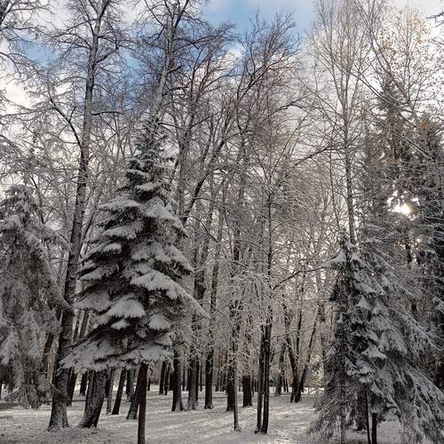 Photo #11845348