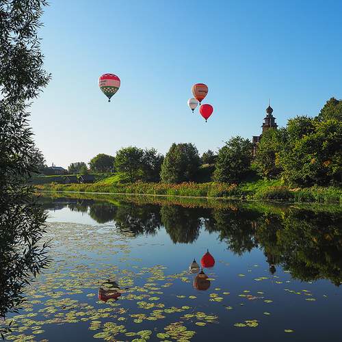 Photo #11845429