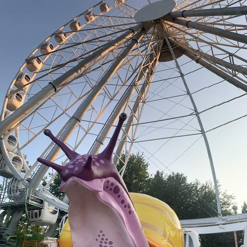 Photo #11845513