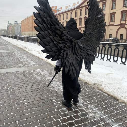 Photo #11845516