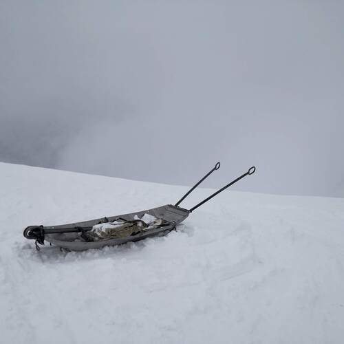 Photo #11845535