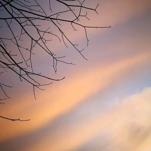 Photo #11845588