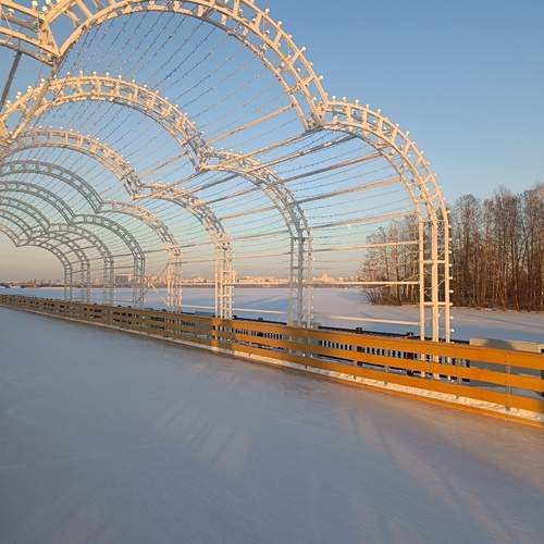 Photo #11845759
