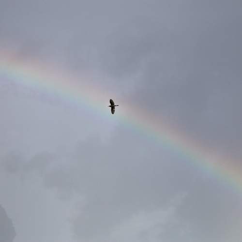 Photo #11845909