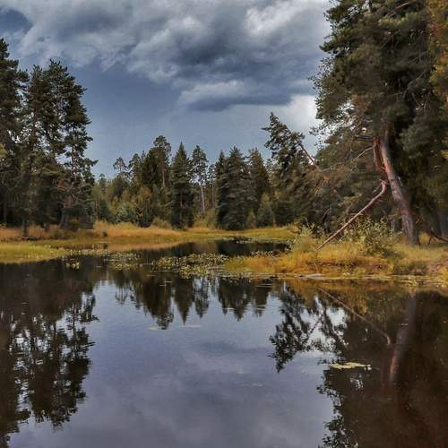 Photo #11845922