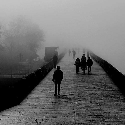 Photo #11846067