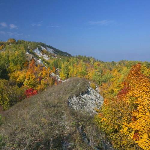 Осенний лес в Жигулях