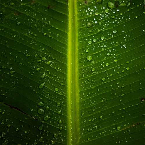Photo #11846187