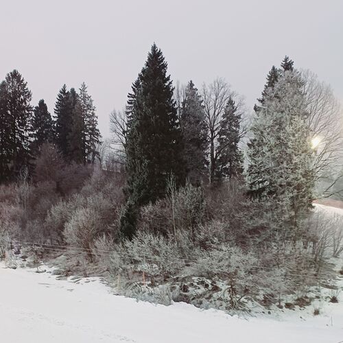 Photo #11846328