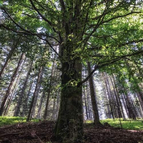Photo #11846525