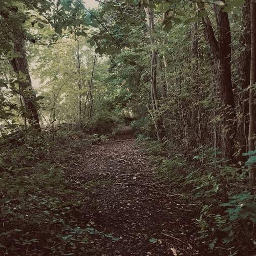 Photo #11846552
