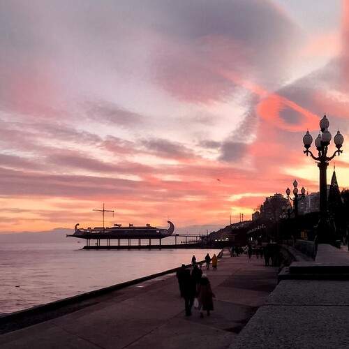 Photo #11846619