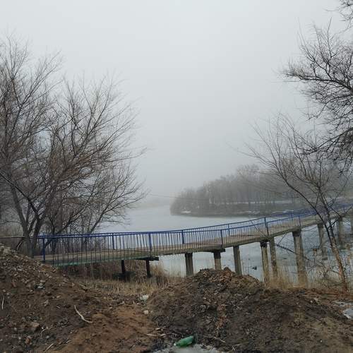 Photo #11846792