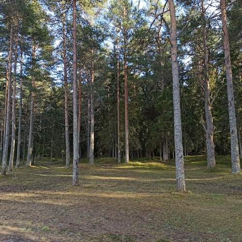 Photo #11846815