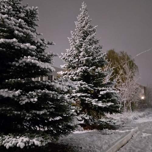 Photo #11846879