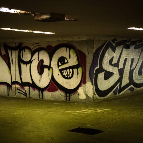 Photo #11846886