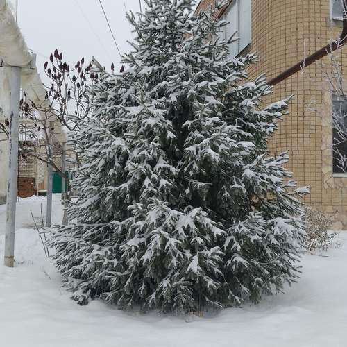 Photo #11846925