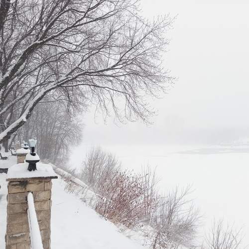 Photo #11846986
