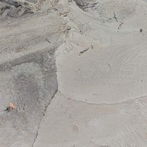 Photo #11847036