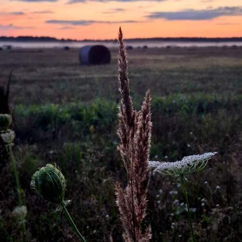 Photo #11847171
