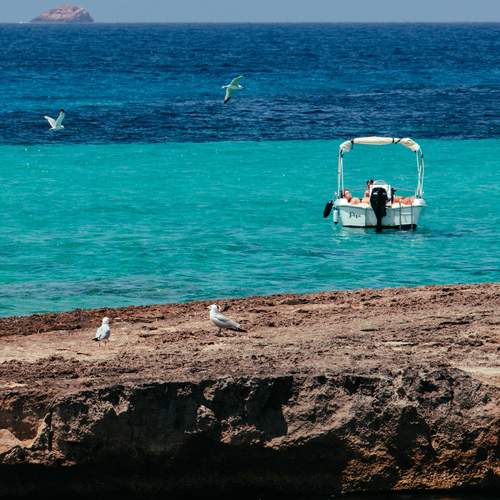 Фотография #11847382