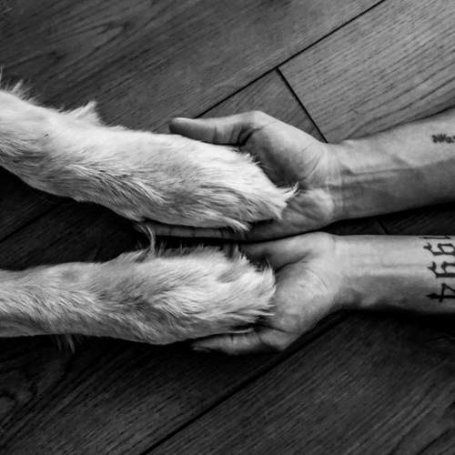 Photo #11847749