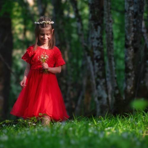 Photo #11847800