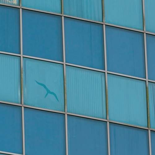 Mirrored Wings