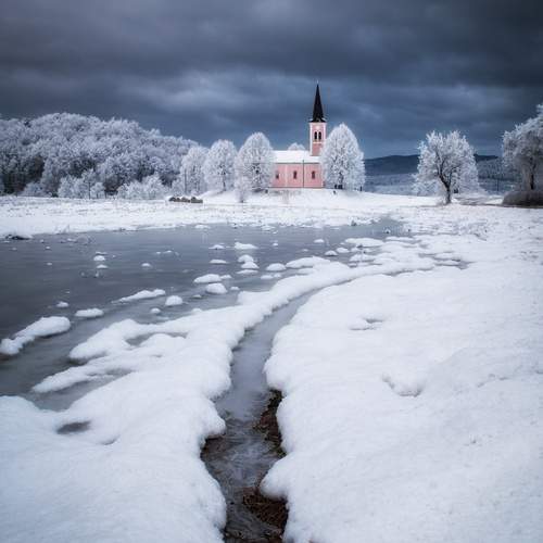 Photo #11847806