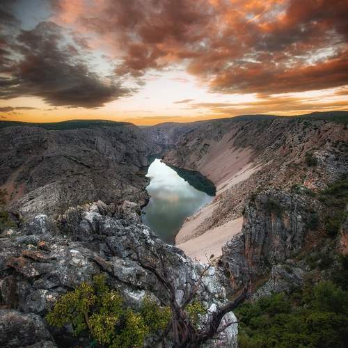 Photo #11847813