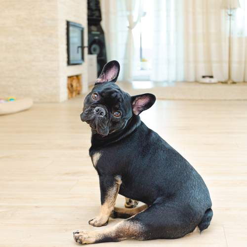 Photo #11847864