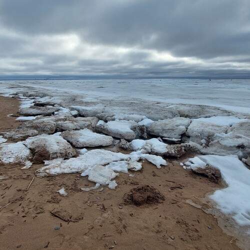 Photo #11848035