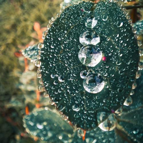 Photo #11848081