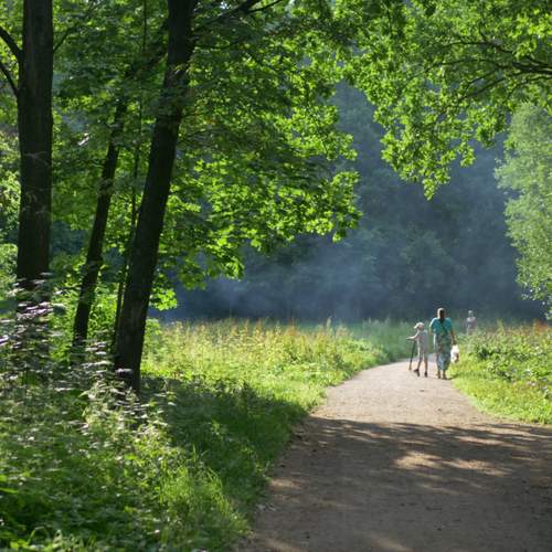 Парк Новознаменка