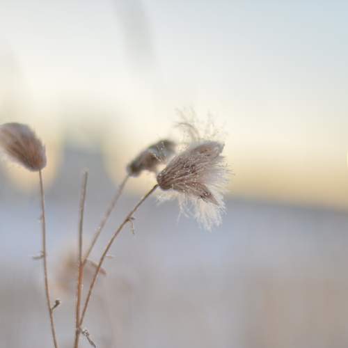Photo #11848111