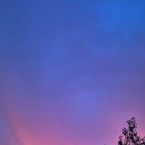Photo #11848192