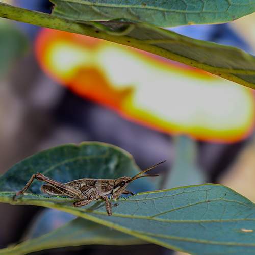 Photo #11848508