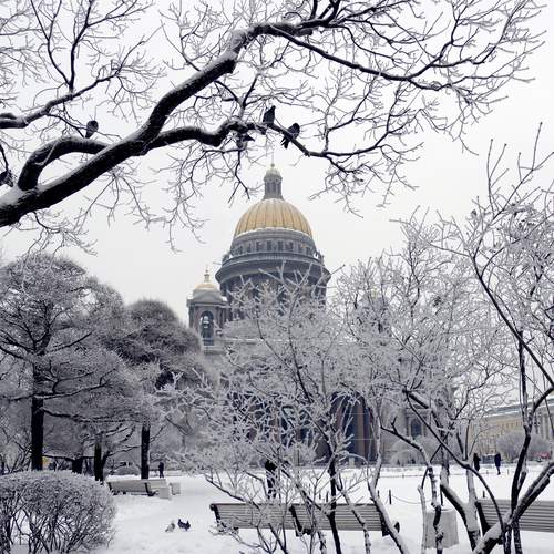 Photo #11848531