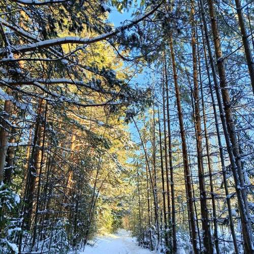 Photo #11848598
