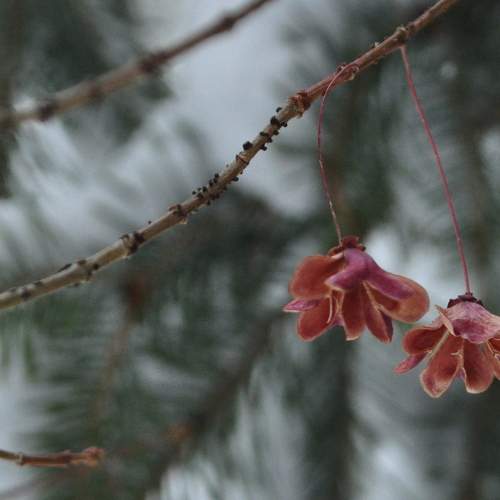 Photo #11848657