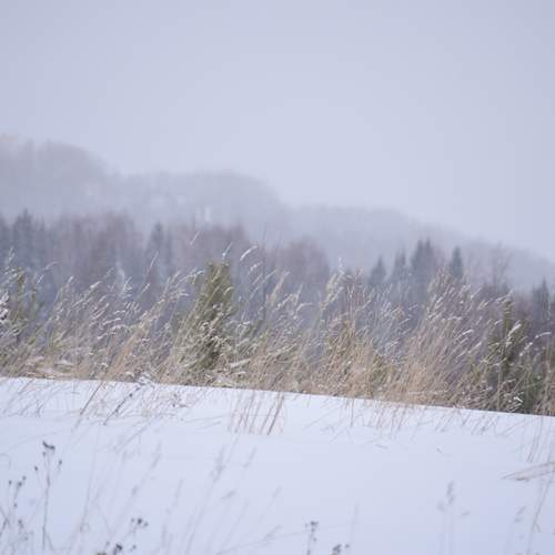 Photo #11848658
