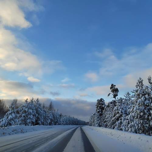 Photo #11848703