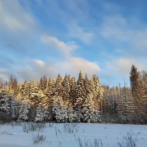 Photo #11848704