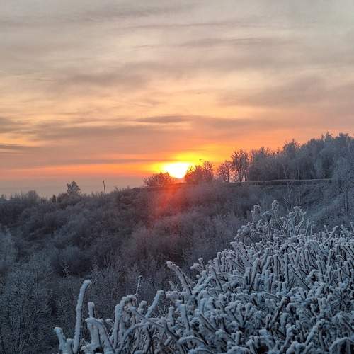 Photo #11848731